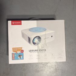 Projector