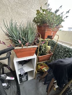 Plant Racks For Sale