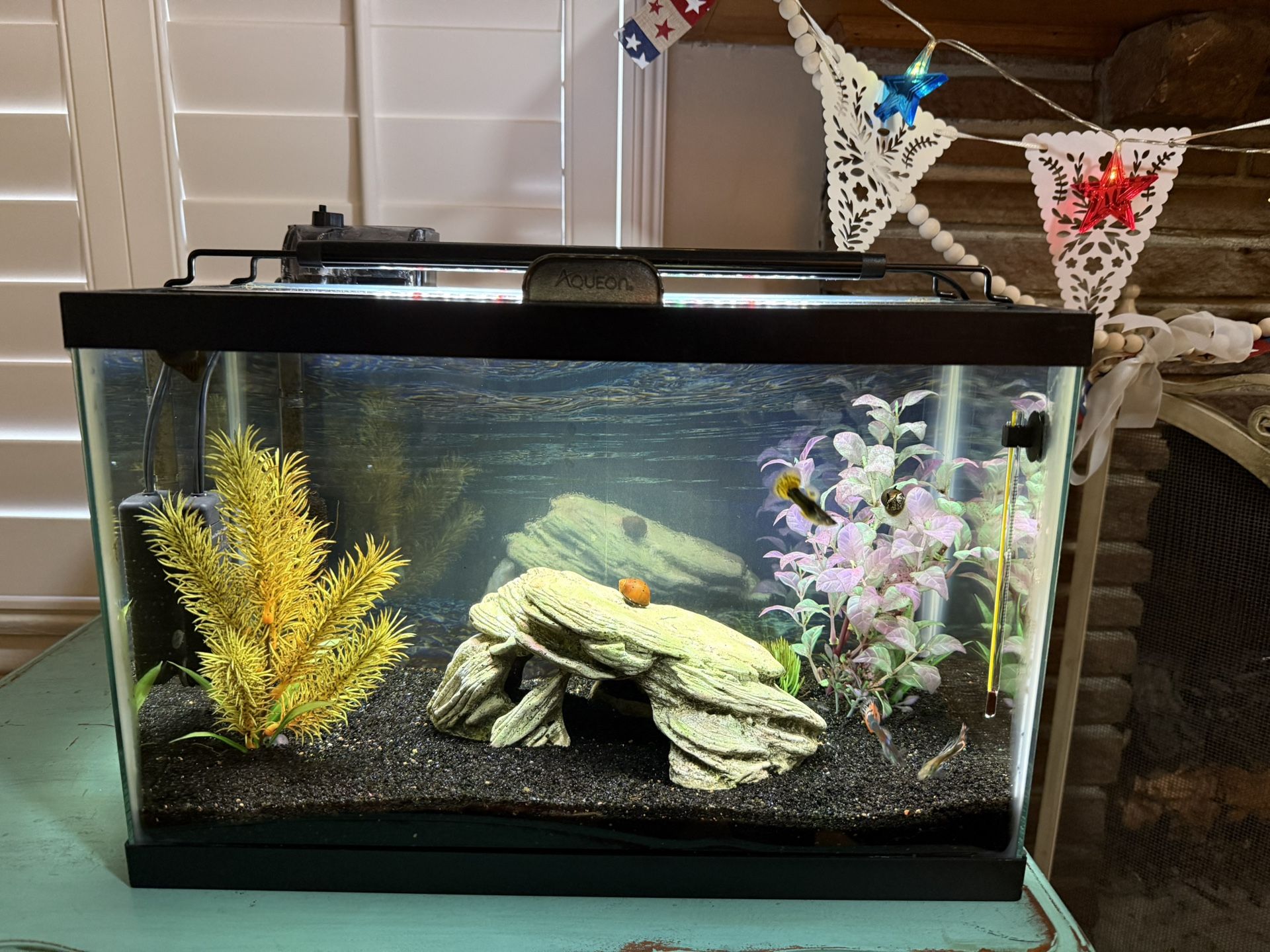 Complete 5 gallon aquarium set up. Very good condition.