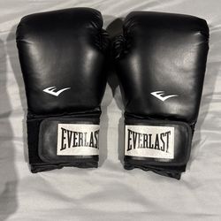  Everlast Boxing Gloves 16 oz
