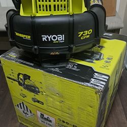 RYOBI

40V HP Brushless Whisper Series 165 MPH 730 CFM Cordless Battery Backpack Blower with (2) 6.0 Ah Batteries and Charger