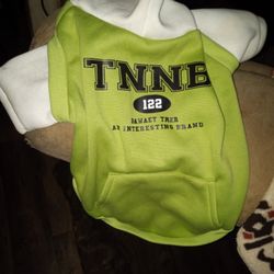2 Hoodies & Light up Collar 