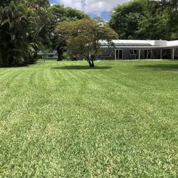 Lawn Cut 