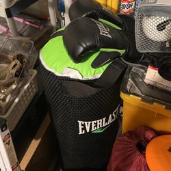  Punching Bag + Gloves 