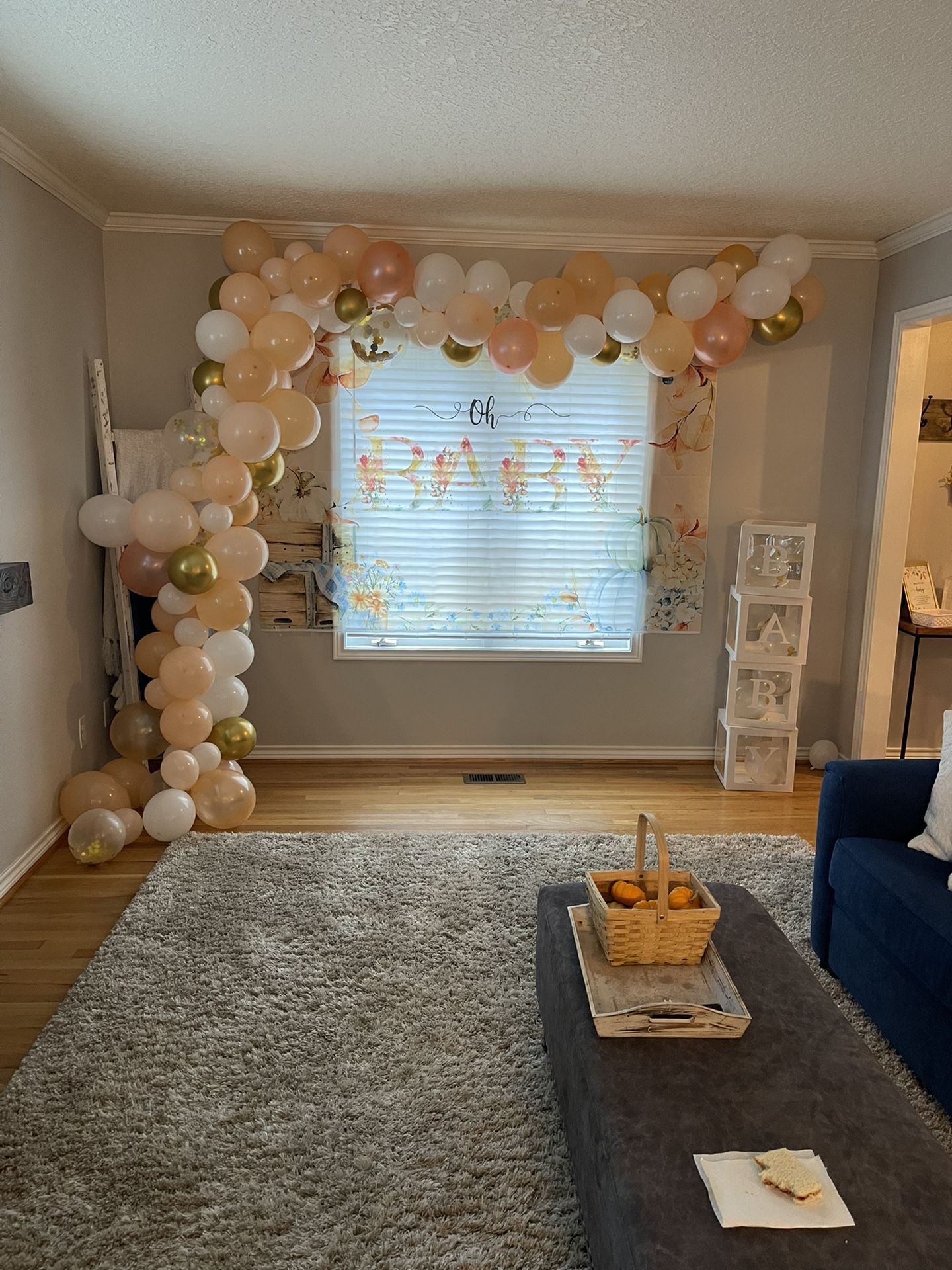 Balloon Garland and “oh Baby” Sign