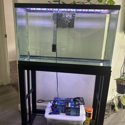 Aquarium tank 