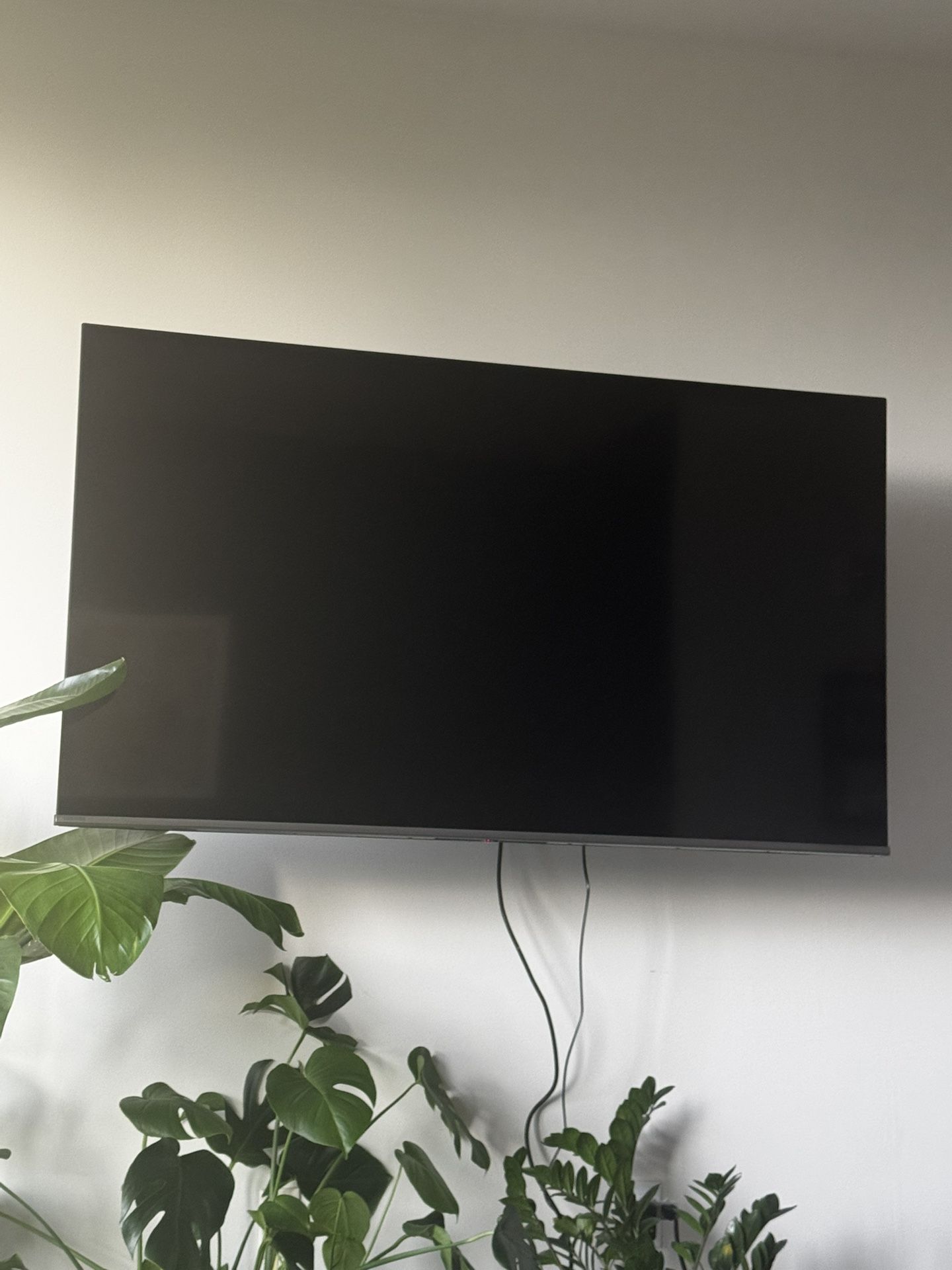 65in Fire TV