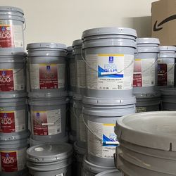 Pintura Flat Eggshell Y Semigloss Paint Paint 