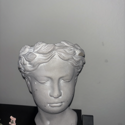 Stone modern aesthetic face decor plant