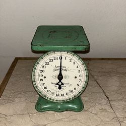 Antique American Family 25 LB Green Rustic Farmhouse Metal Family Kitchen Scale
