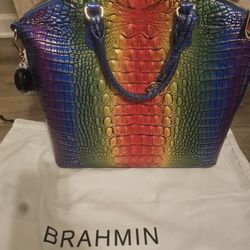 Brahmin Rainbiw Bag