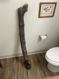 Large Terrarium Log (Real Wood) REALLY THICK