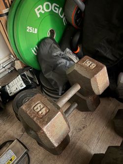 65lb cast iron weights dumbbells