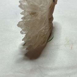 Clear Quartz Seahorse Carving