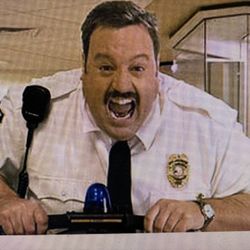 Paul Blart Mall Cop High-Quality Security Guard Shirt Halloween Costume