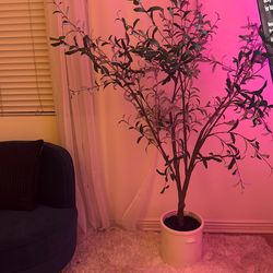 Fake olive tree