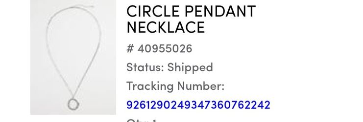 TORRID PENDANT NECKLACE