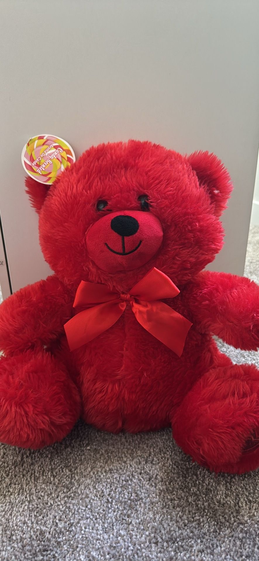 Red Teddy Bear