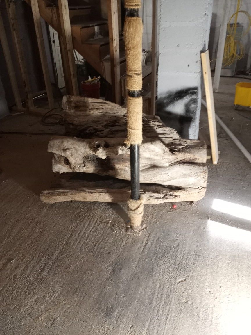 Drift Wood