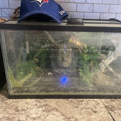 10 Gallon Fish Tank(aquarium) With Filter And Accessories!!!