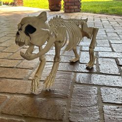 Halloween Dog Skeleton