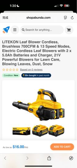 LITEKON Cordless Leaf Blower with Batteries and Charger