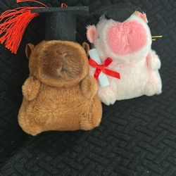 Capibara And Fortnite Graduation Gifts 