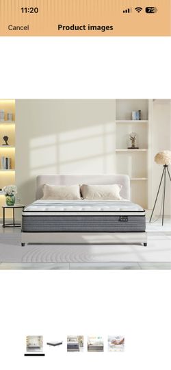 12 inch full size mattress