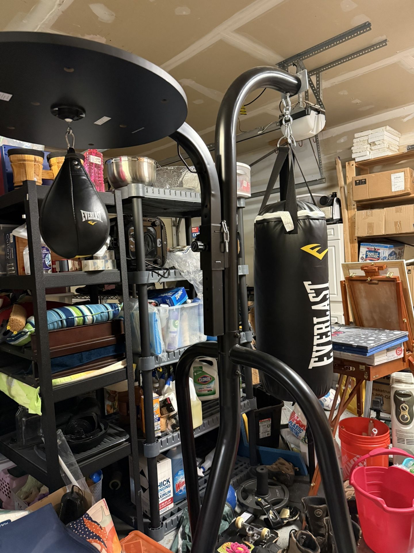 Everlast Punching Bag Equipment