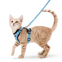 Harness and Leash Small
