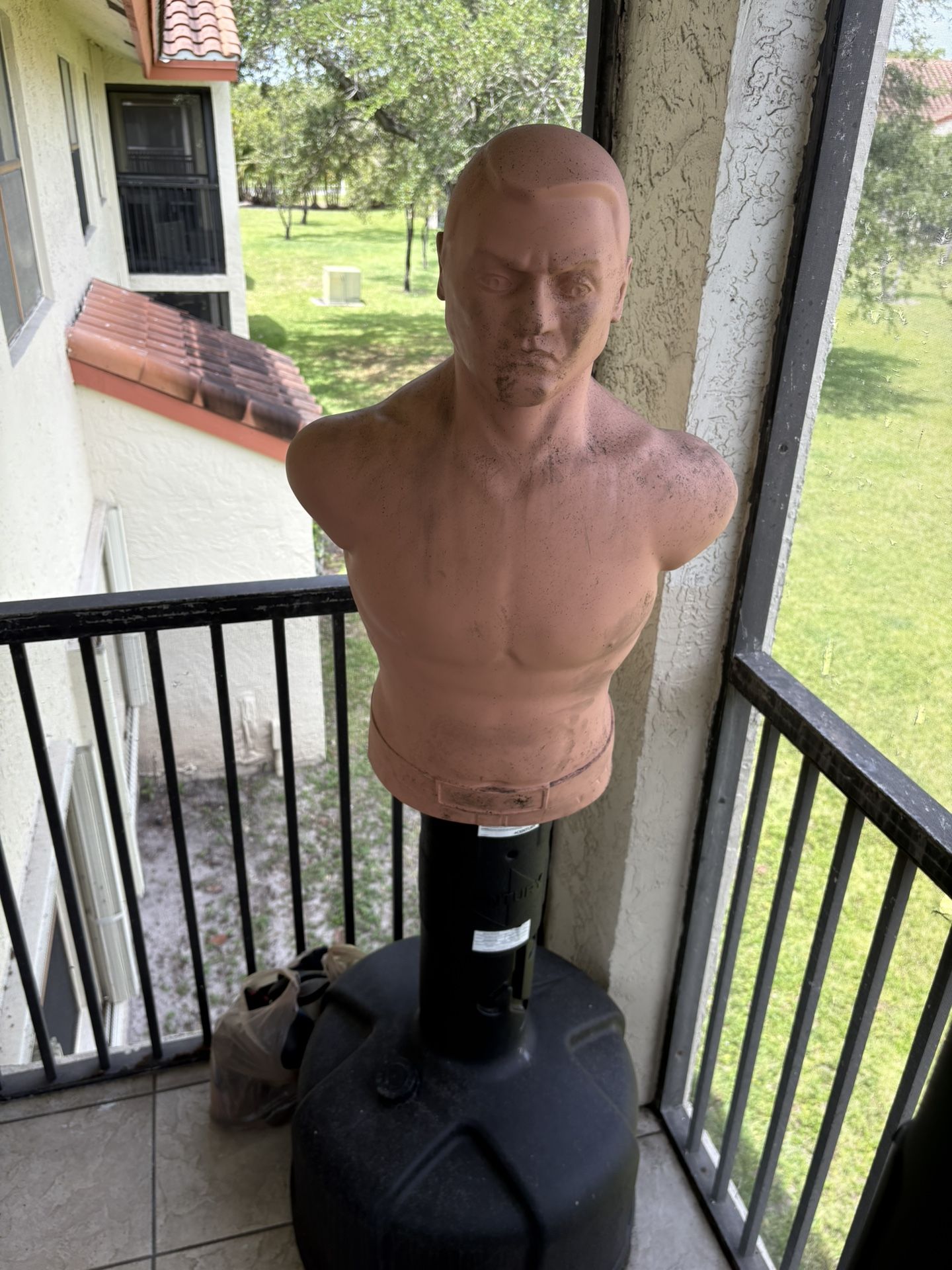 Century BOB Punching bag