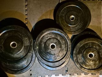 Bumper Weights  set 💪