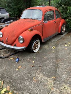 Vw beetle