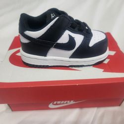 Kids Nike Dunks