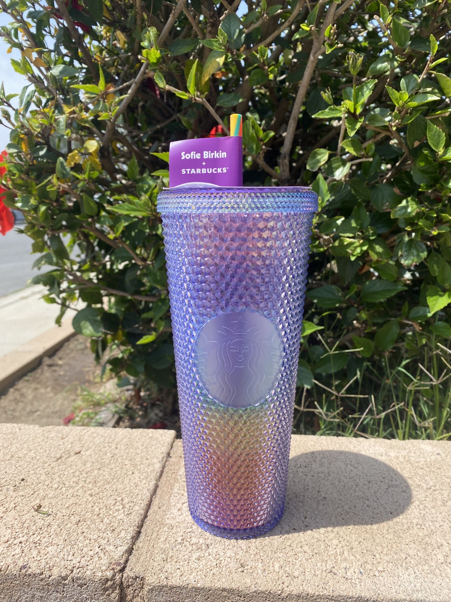 Starbucks Summer 2024 Sofie Birkin Rainbow Studded Bling Venti Tumbler 24oz