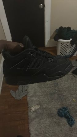 black cat 4s