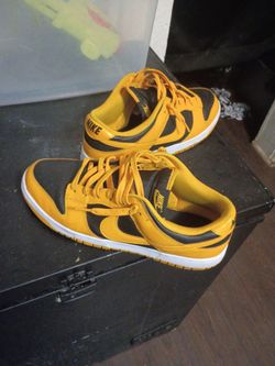 Dunks size 10.5