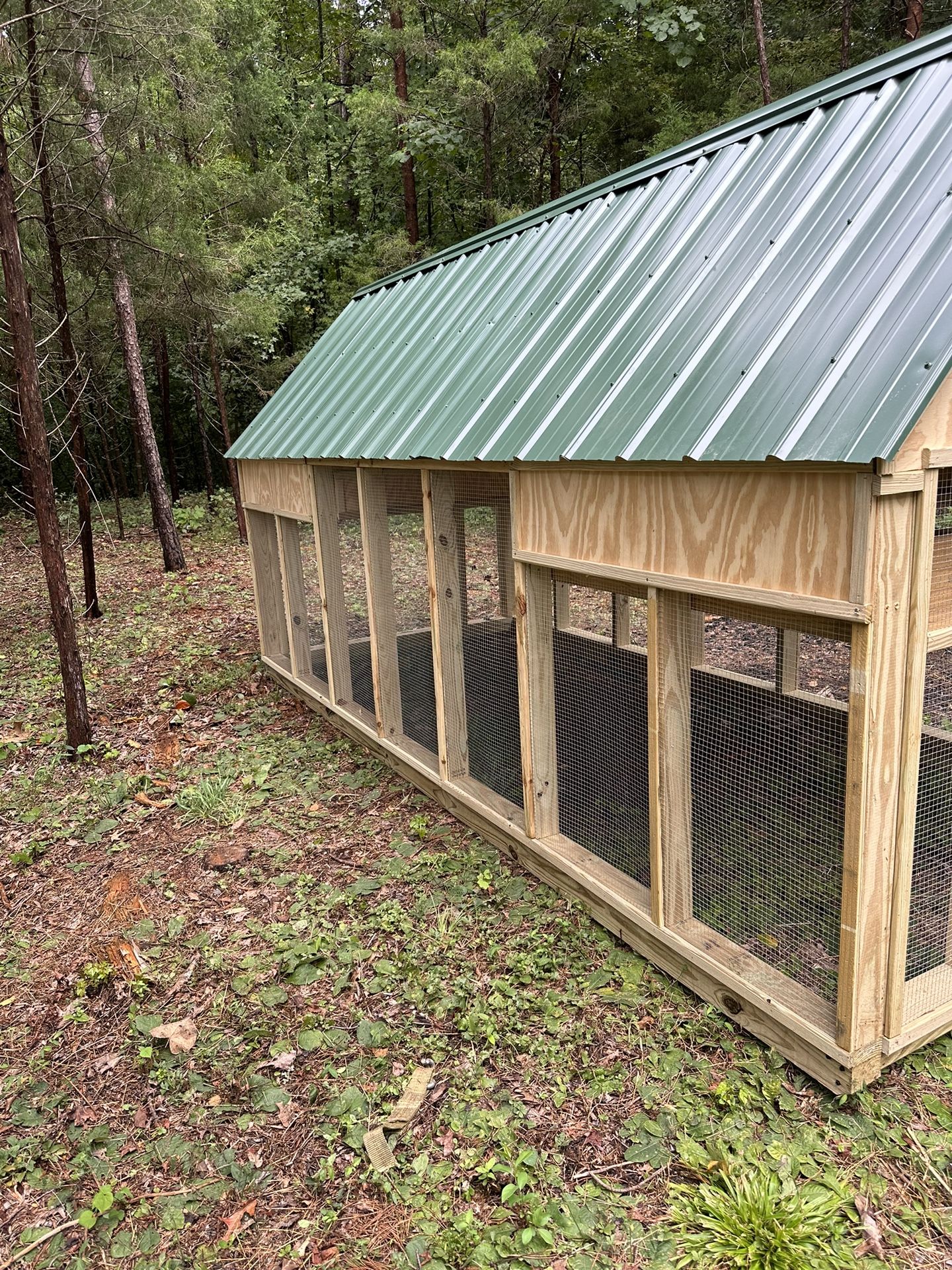 Chicken Coops, Mini Horse Shelters, Cat Runs Dog Runs All Custom To Order 