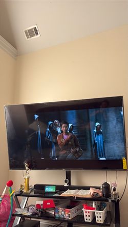 Vizio Large Flat Screen TV