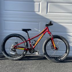 Specialized riprock 24 kids  Boys Girls mountain bike Fat Tires 