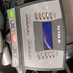True PS300 Treadmill