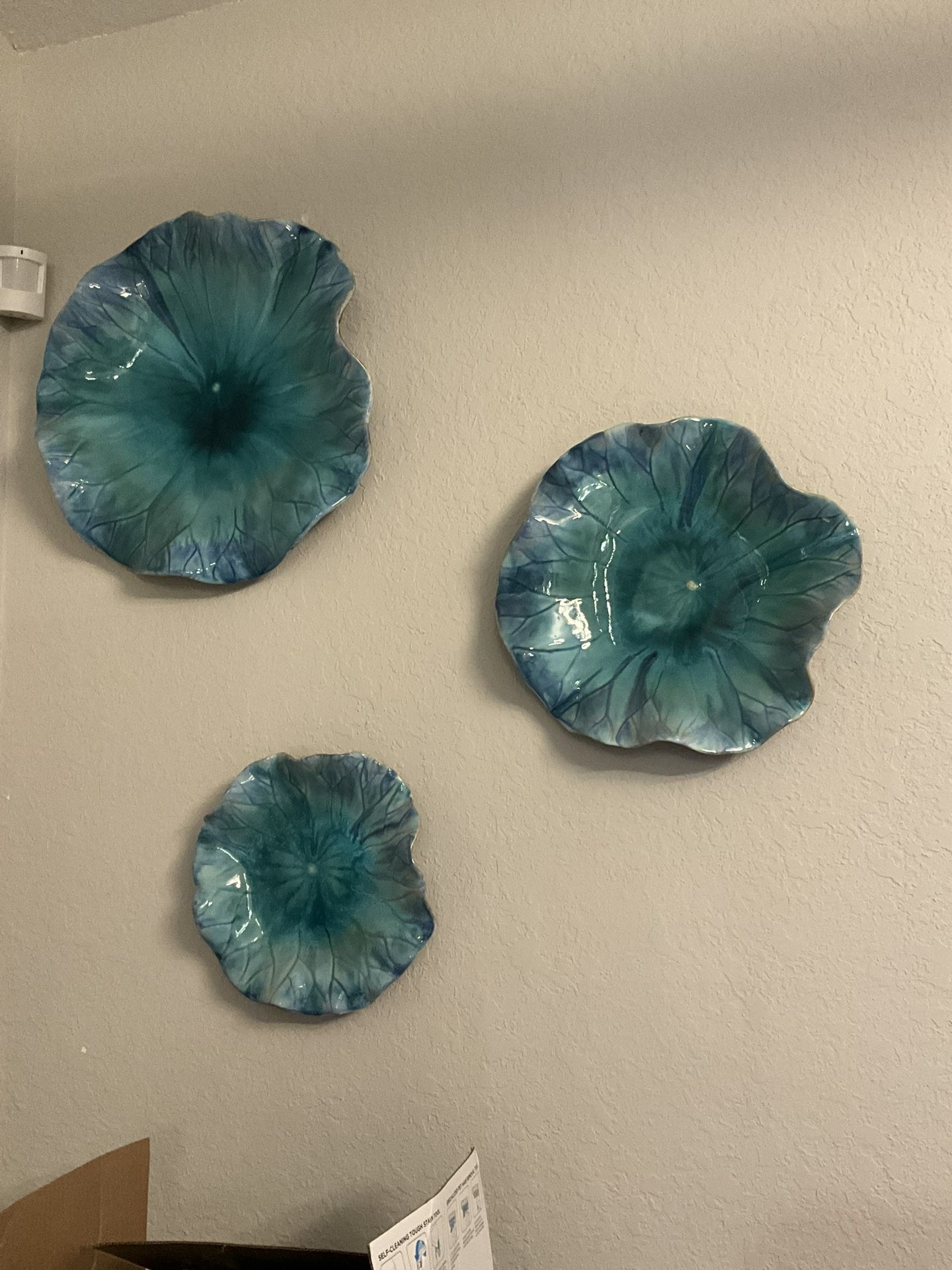 Flores De Pared