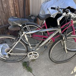 Trek Bike &  Beach Cruiser Bike 