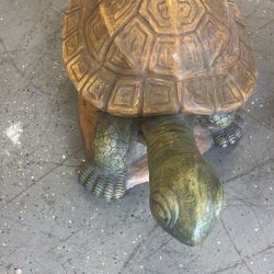 Tortuga