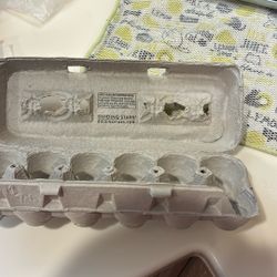 Egg Cartons - Empty And Free