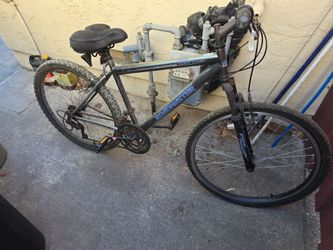 Roadmaster bike