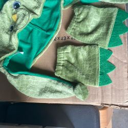 Dinosaur Costume 