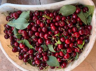 Cherry fresca de hoy 🍒🍒