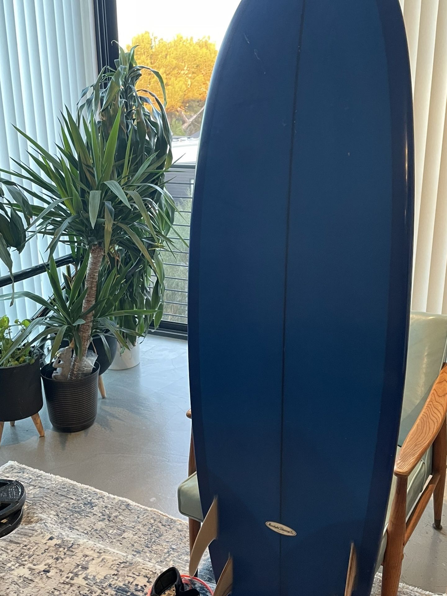 Surfboard Mandala Arc Swallowtail