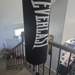 A boxing standing bag and everlast pro style gloves